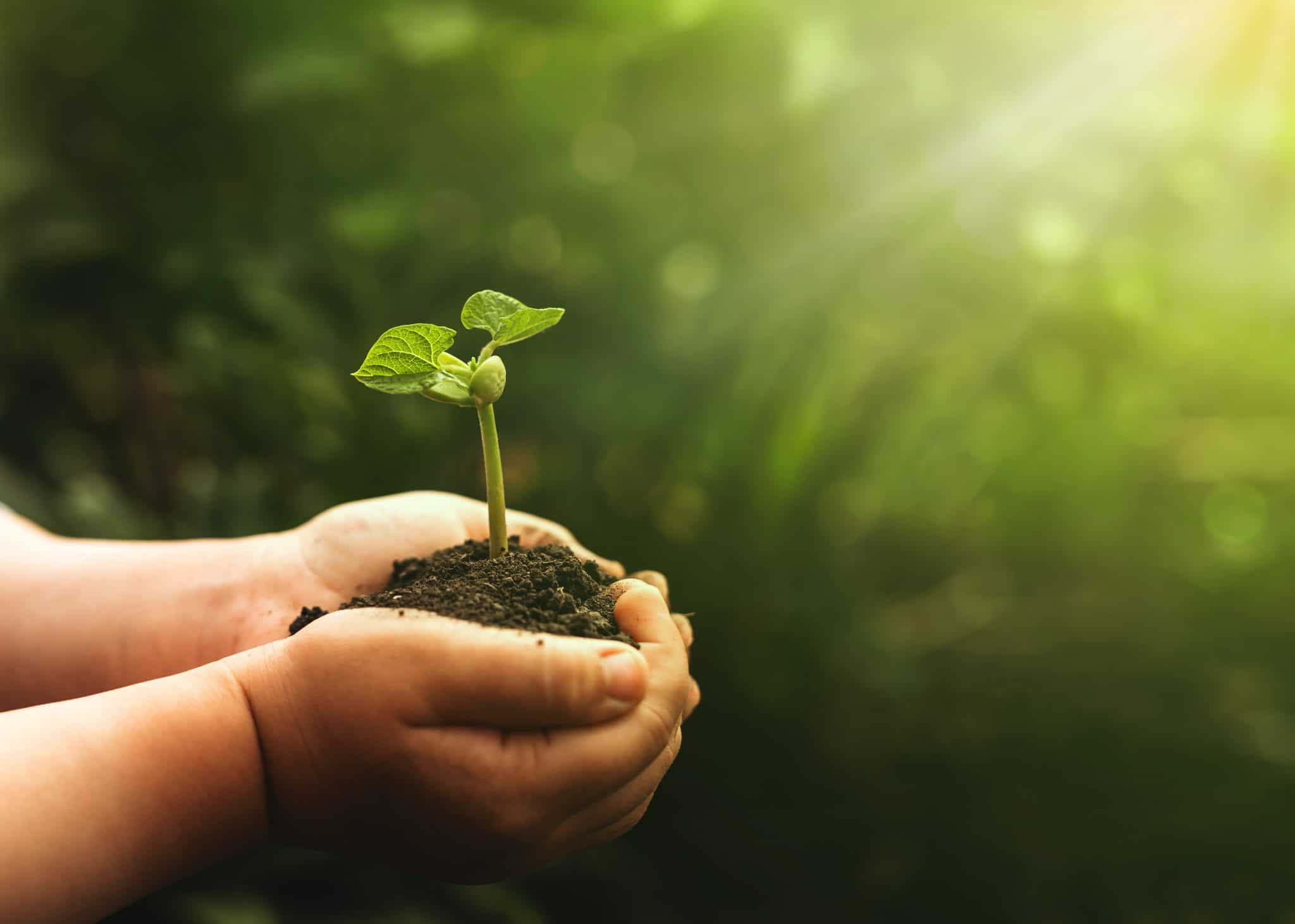 C’est quoi une entreprise RGE ?